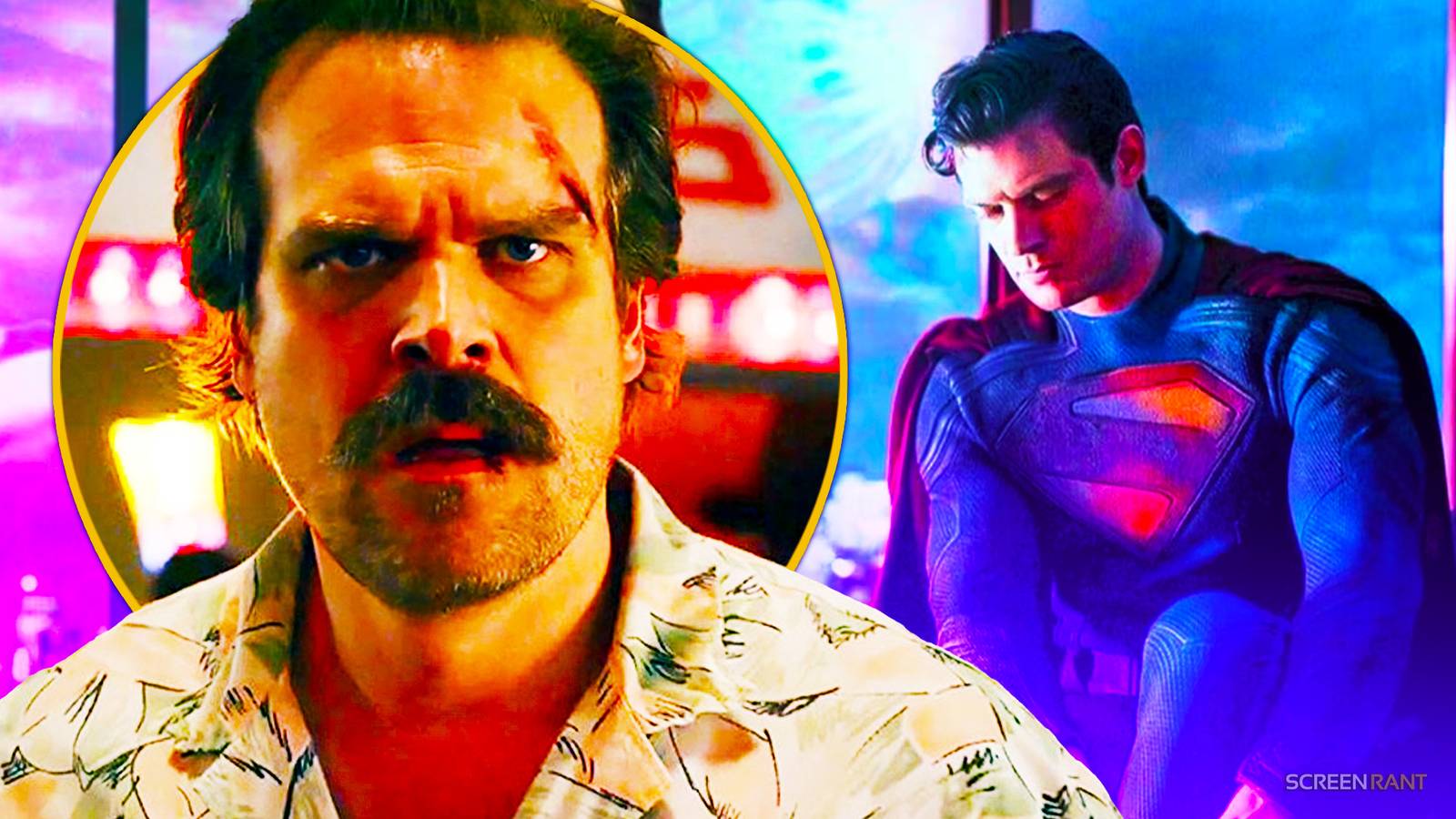David Harbour Addresses Which DC Universe Project He Wants To Make His ...
