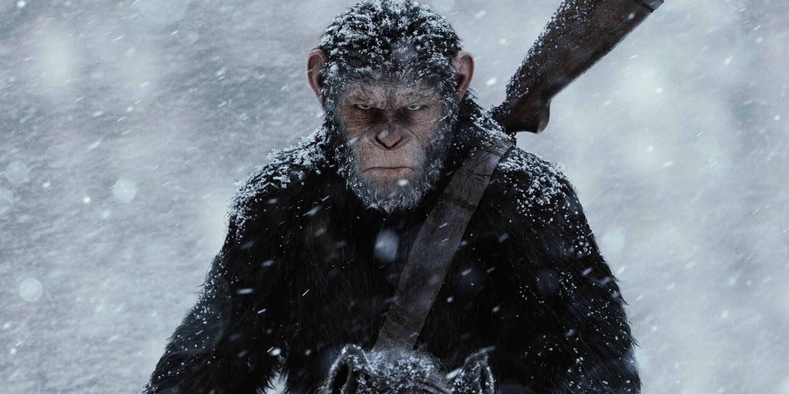 war-for-planet-apes-poster-caesar.jpg